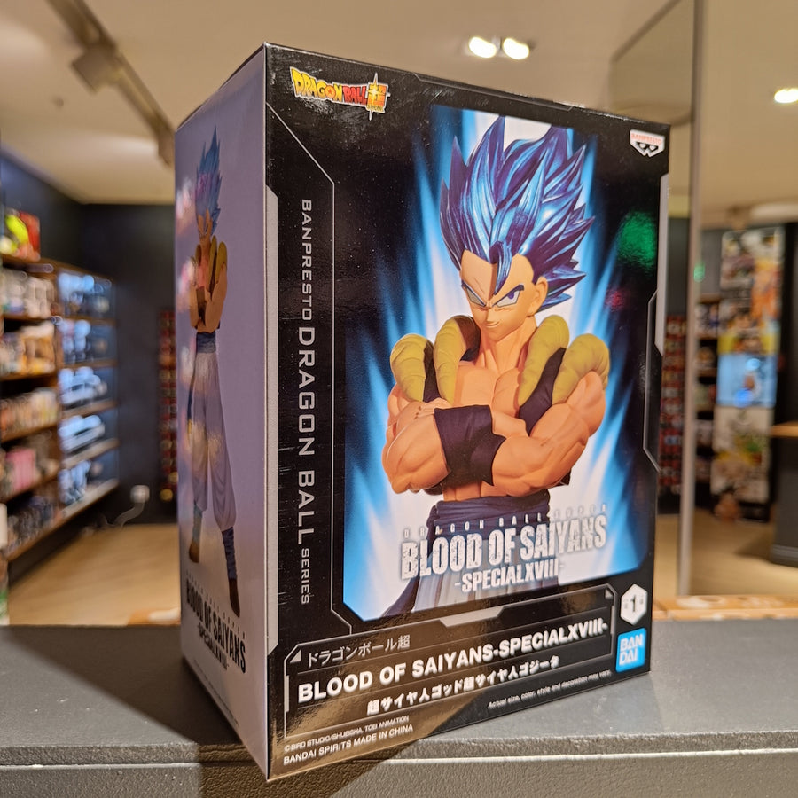 Gogeta - Blood of Saiyans Special XVIII