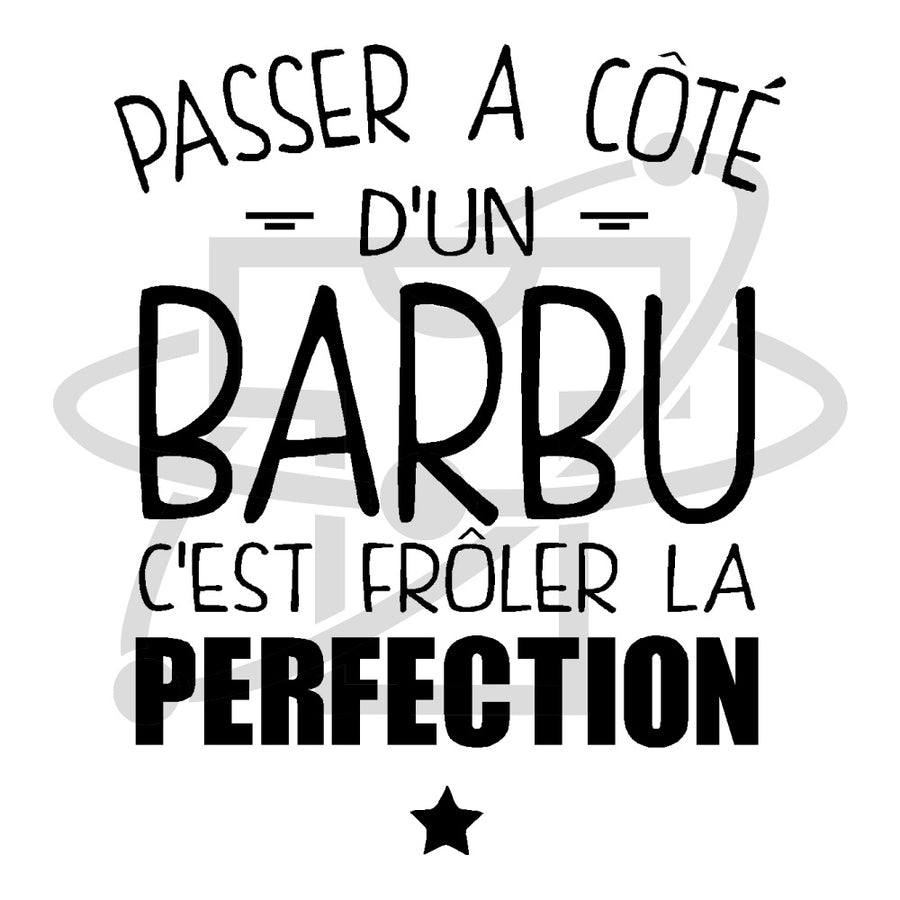 Barbu perfection (T-Shirt Homme)