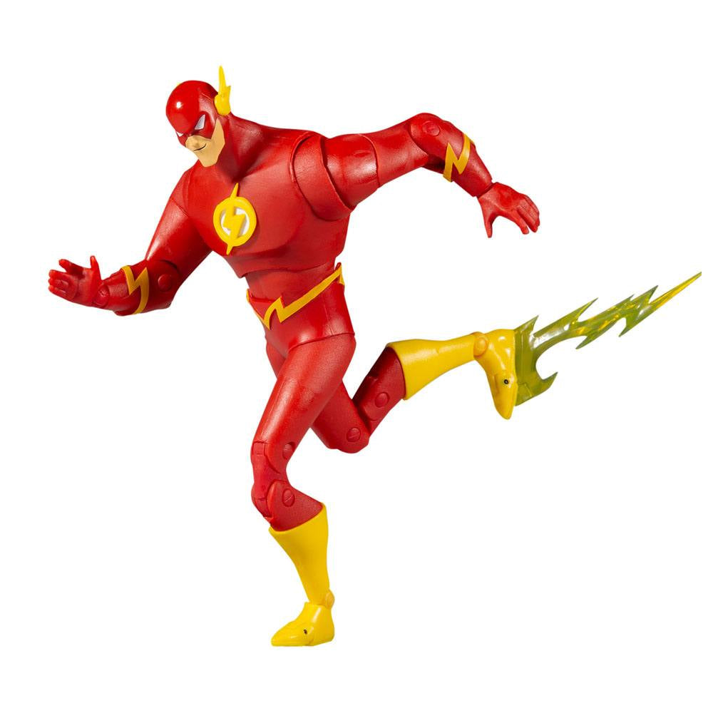 Flash - DC Multiverse the Animated Series