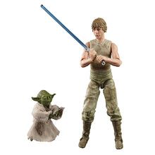 Charger l&#39;image dans la galerie, Luke Skywalker &amp; Yoda - Star Wars Black Series 40th
