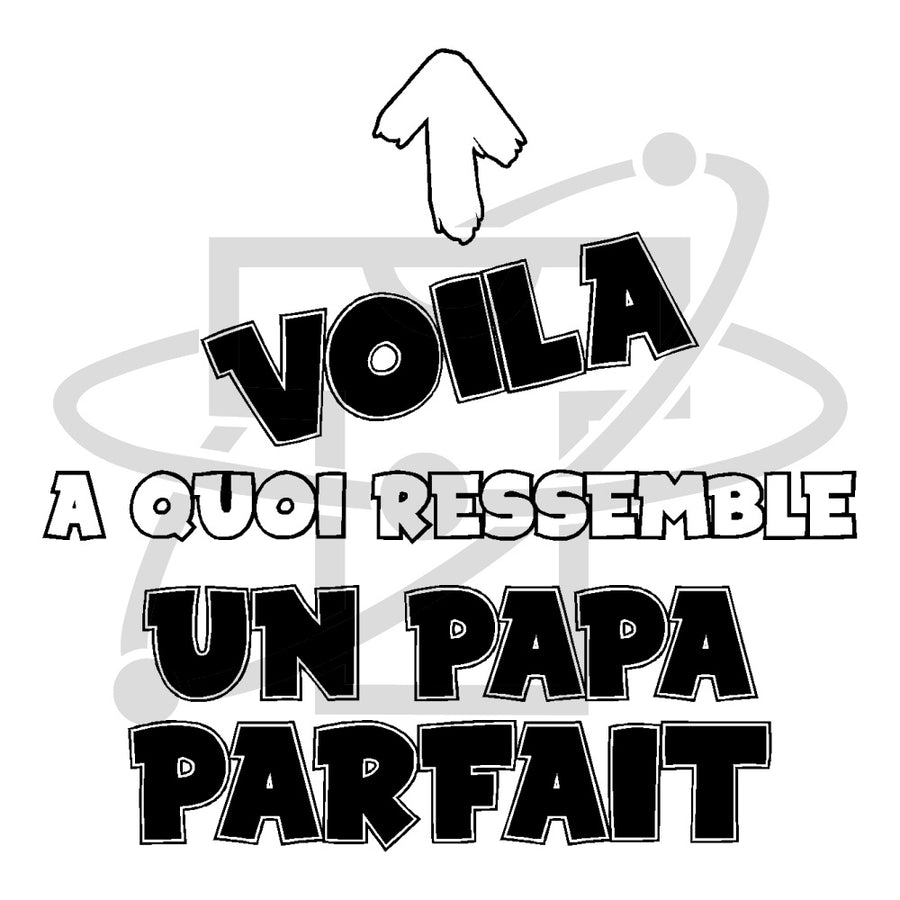 Papa parfait (T-Shirt Homme)