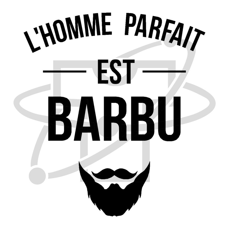 Parfait barbu (T-Shirt Homme)