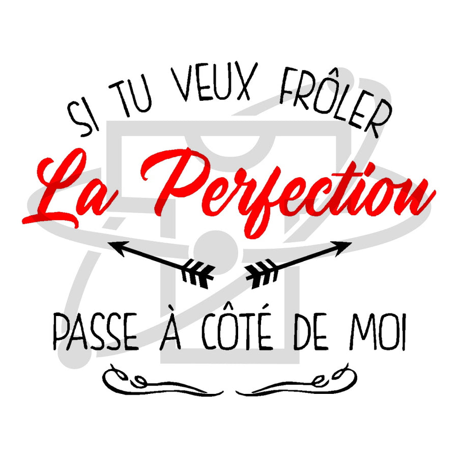 Perfection 2 (T-Shirt Homme)