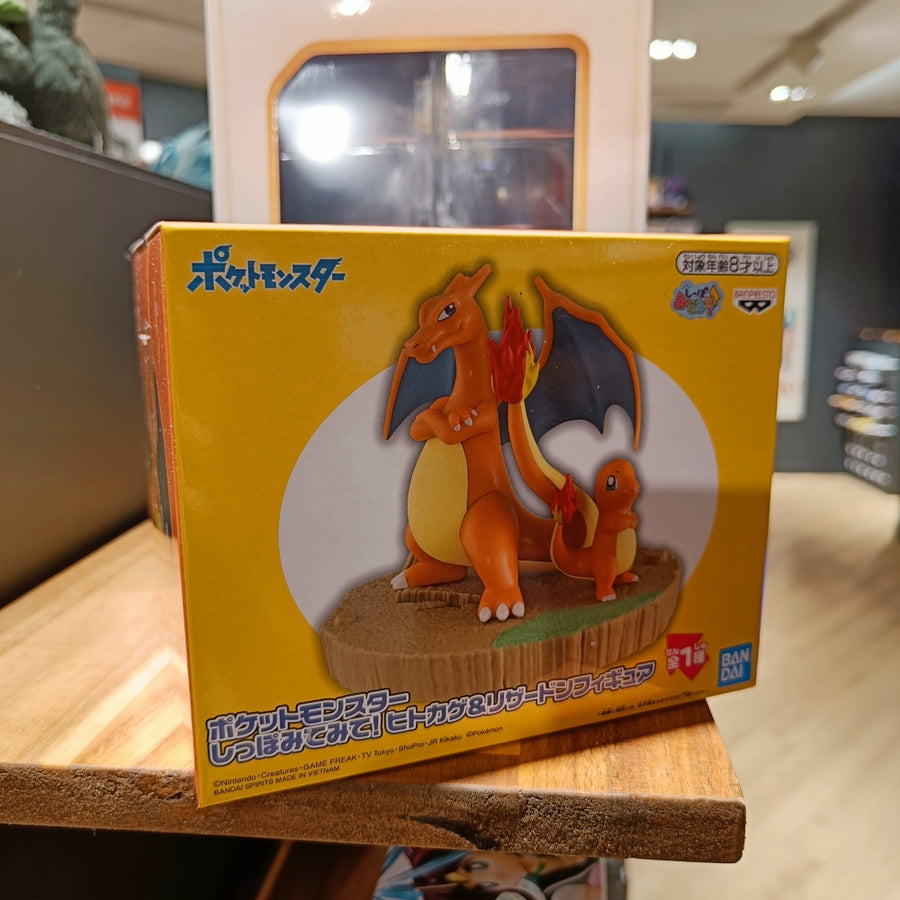 Pokemon Figure - Dracaufeu et Salamèche