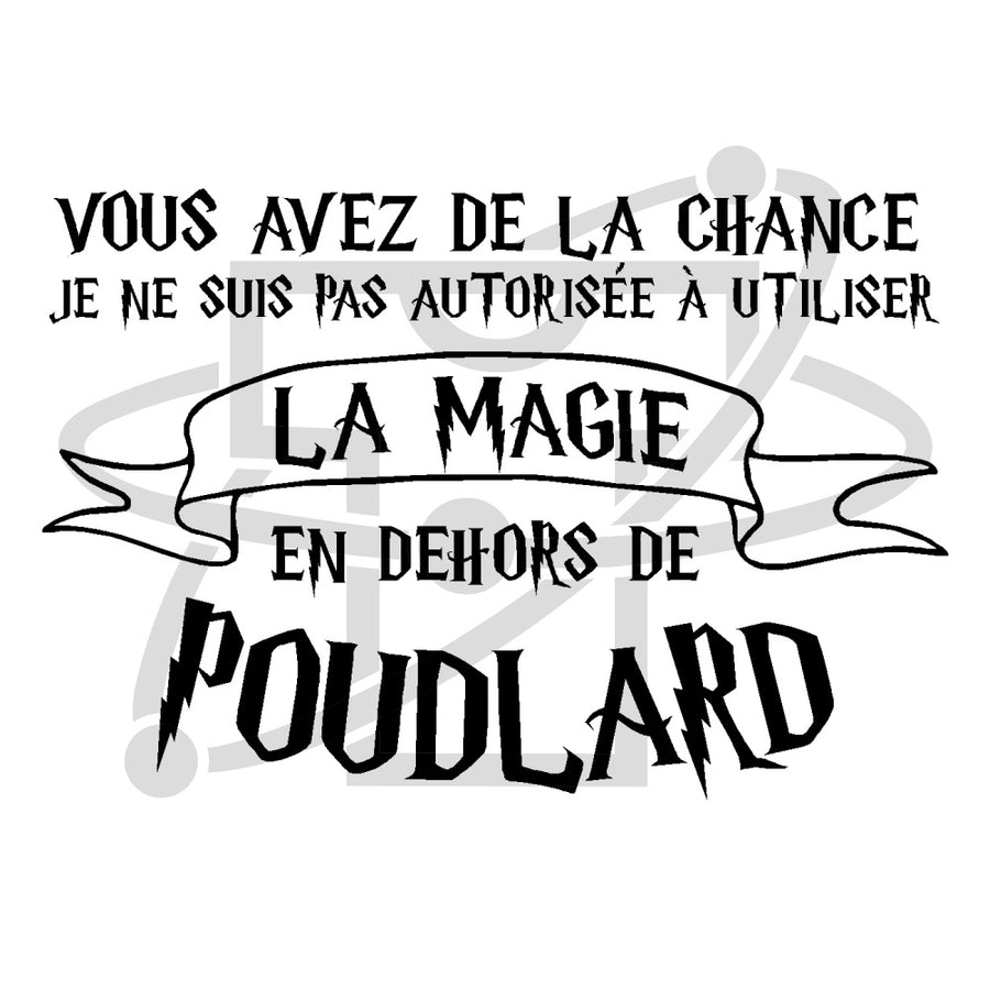 Poudlard 2 (T-Shirt Femme)