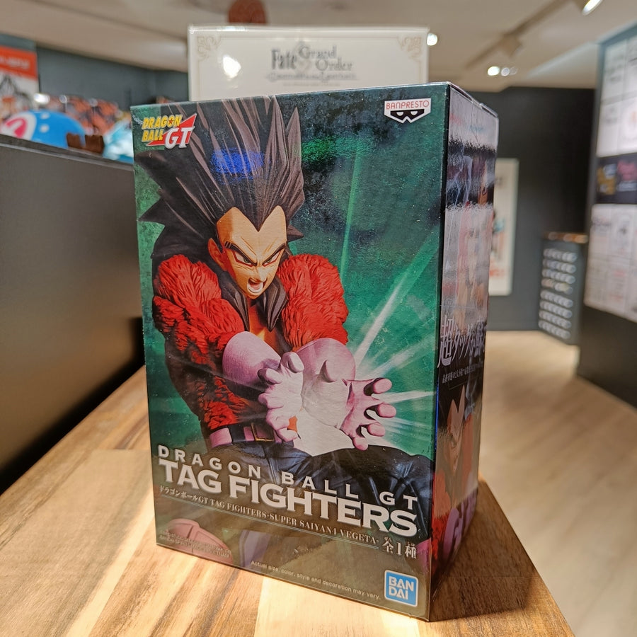 Vegeta Super Saiyan 4 - Tag Fighters